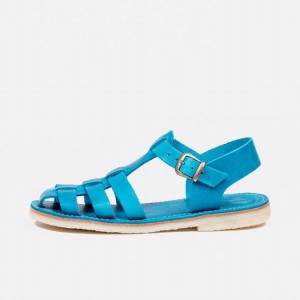 Men's Duckfeet Ringkobing Sandals Blue | NZ DUSK58036