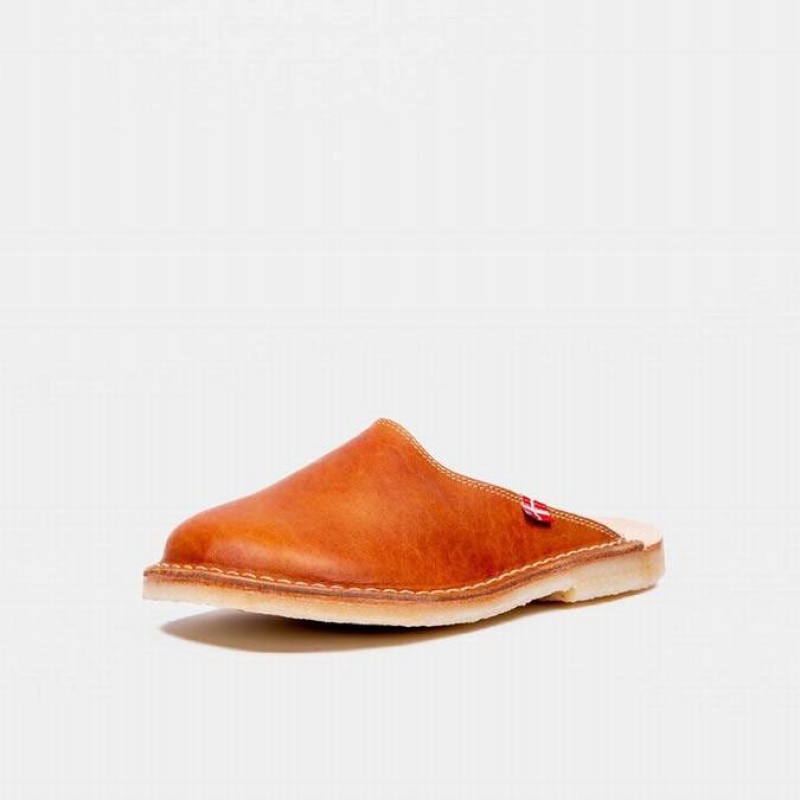 Men's Duckfeet Blavand Slippers Brown | NZ CJZT74623
