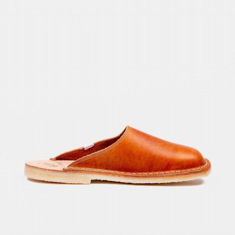 Men's Duckfeet Blavand Slippers Brown | NZ CJZT74623