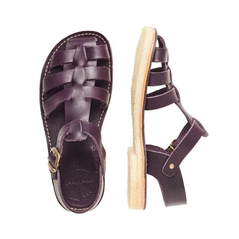 Men's Duckfeet Ringkobing Sandals Purple | NZ QDWY04971