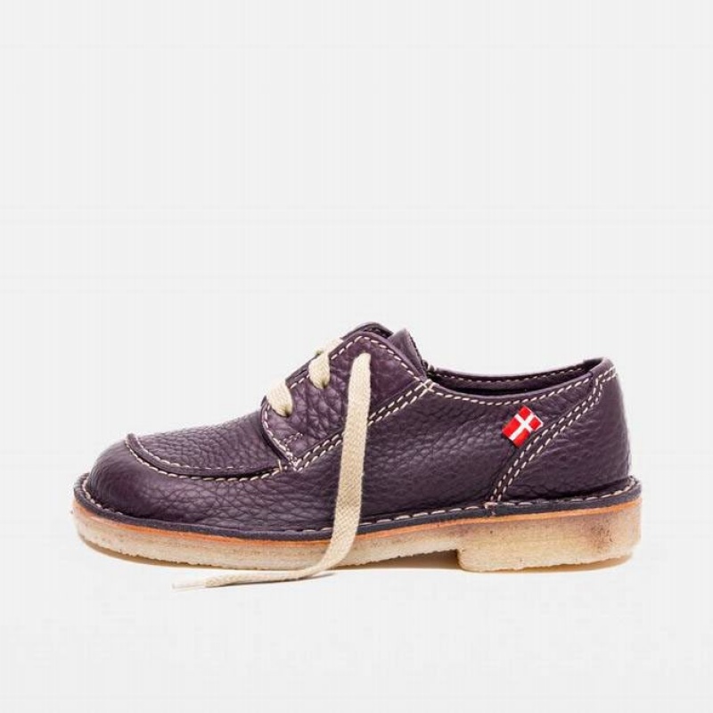 Men\'s Duckfeet Svendborg Lace Up Shoes Purple | NZ SFNG80196